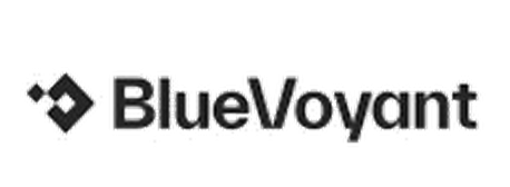 BlueVoyant logo